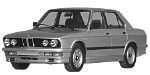 BMW E28 B258B Fault Code